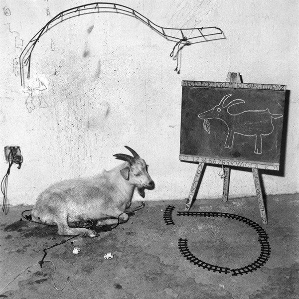 Animal Abstraction: School Room, 2003 - Copyright Roger Ballen