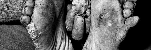 Puppy between feet, 1999